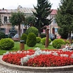 Dynów