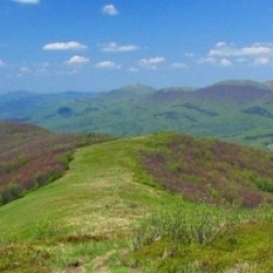 Bukovské vrchy