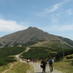 Śnieżka