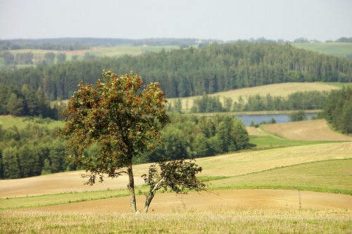 Typowy krajobraz północnej Polski