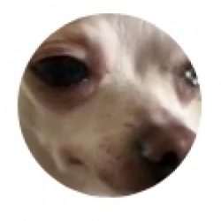 db_paul1